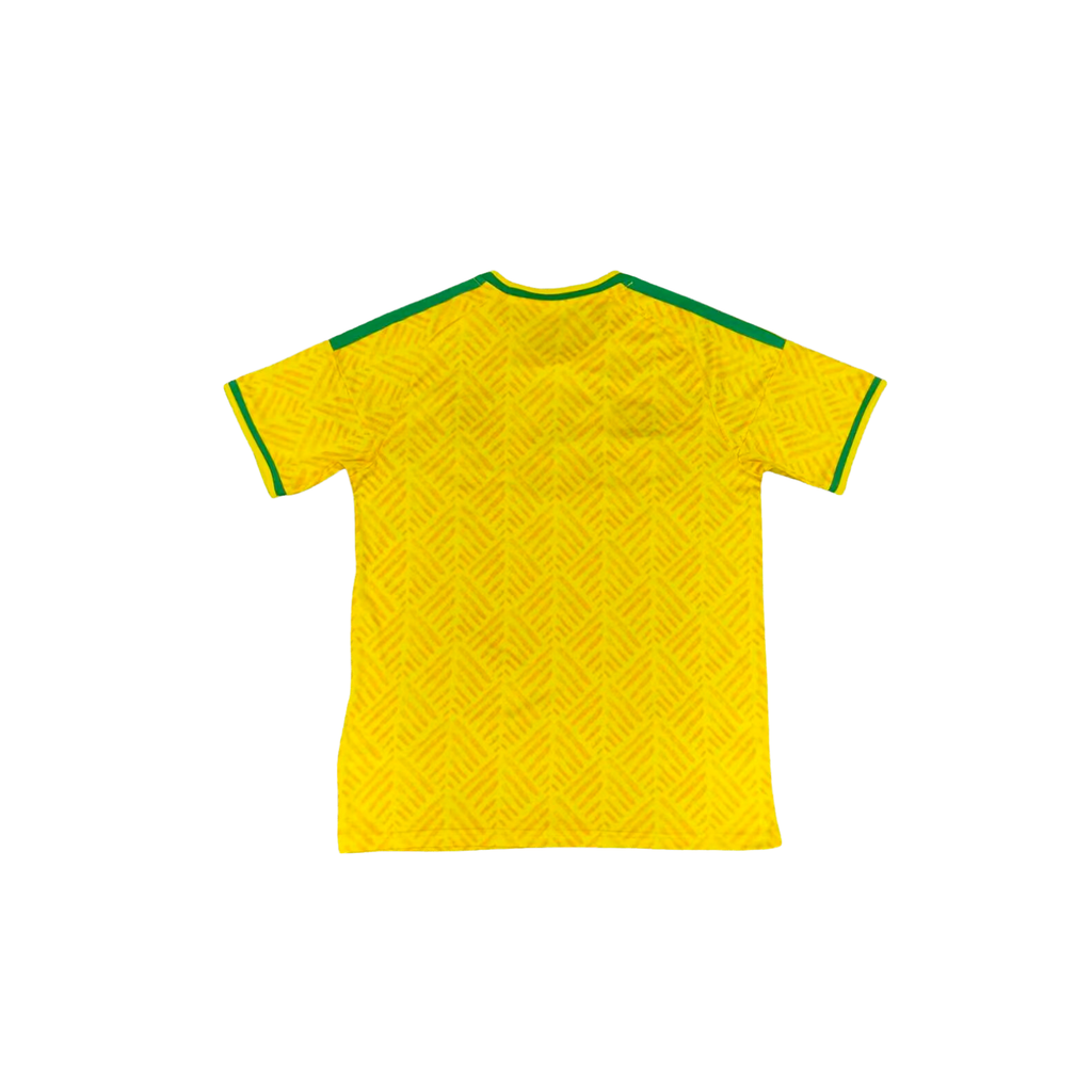 Maglia Sudafrica Nazionale Home 2026/27